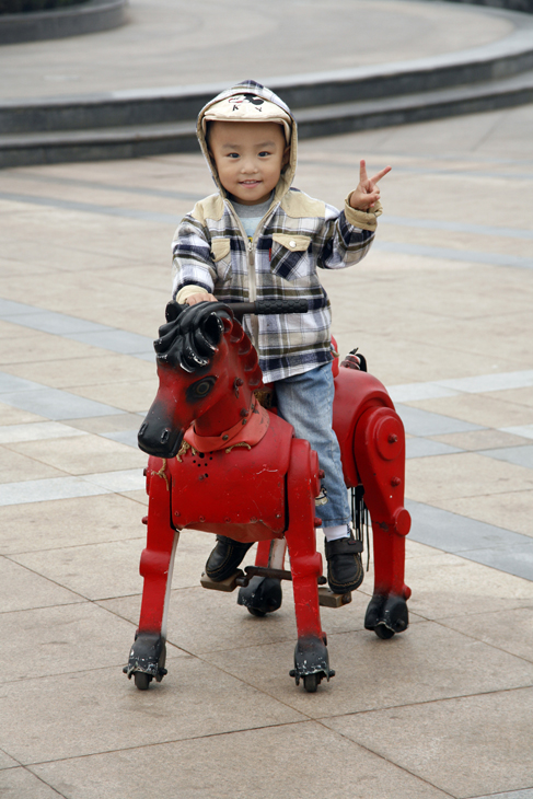 boy on hobby horse