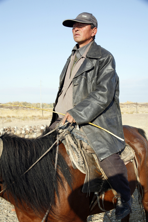 horseman, Mongolia