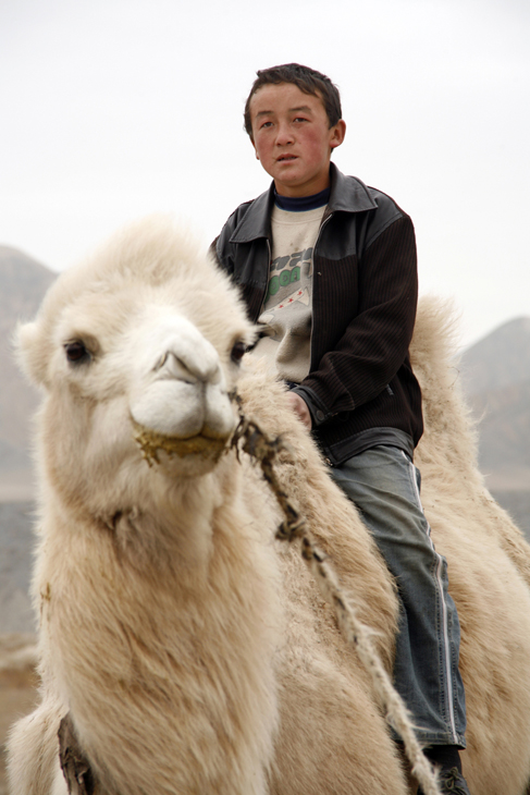 boy on camel Gobi Desert