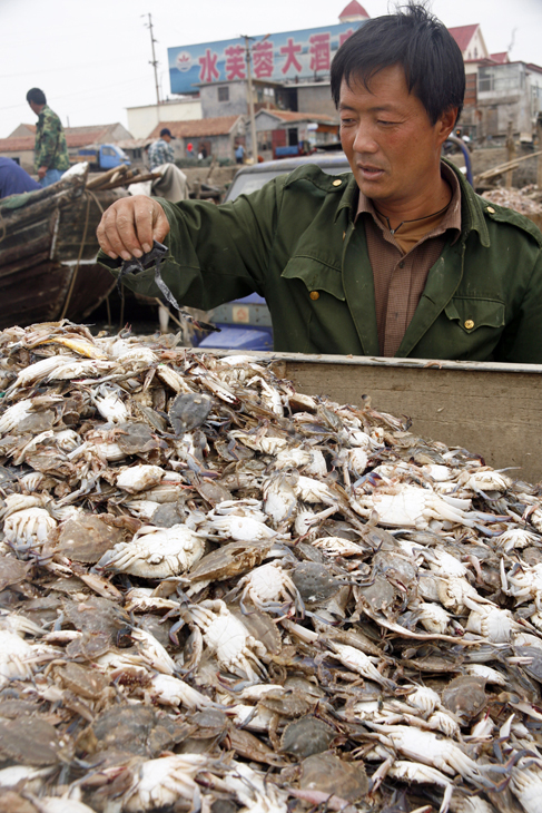man & crabs, China